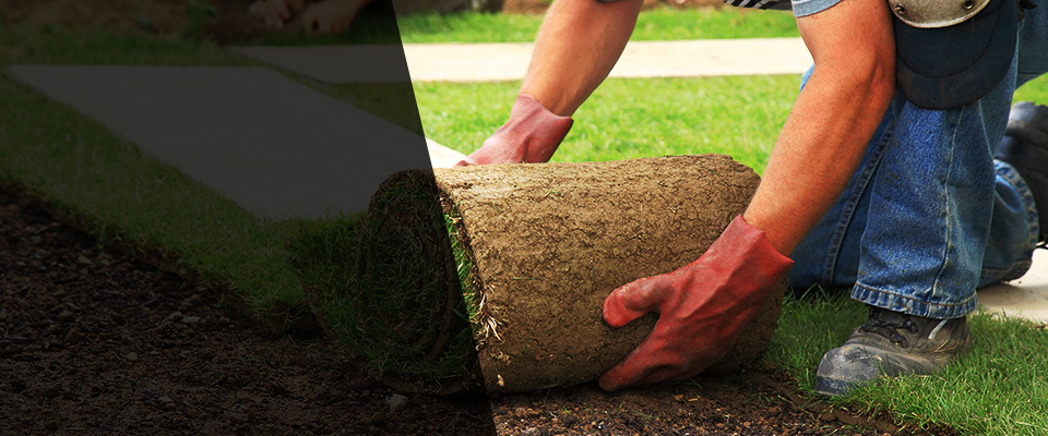 Fortson Landscapers